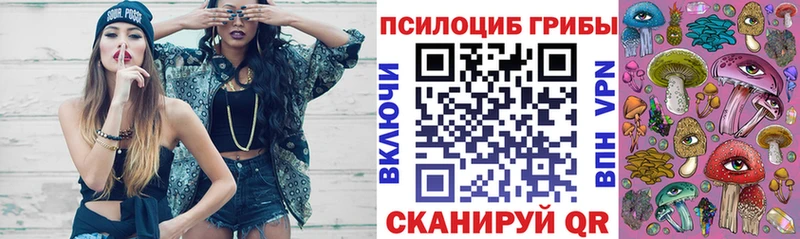 Псилоцибиновые грибы Cubensis  Заринск 
